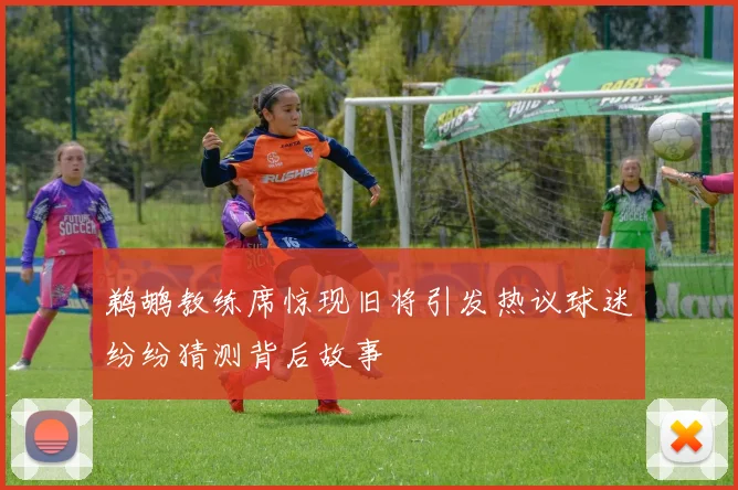 鹈鹕教练席惊现旧将引发热议球迷纷纷猜测背后故事