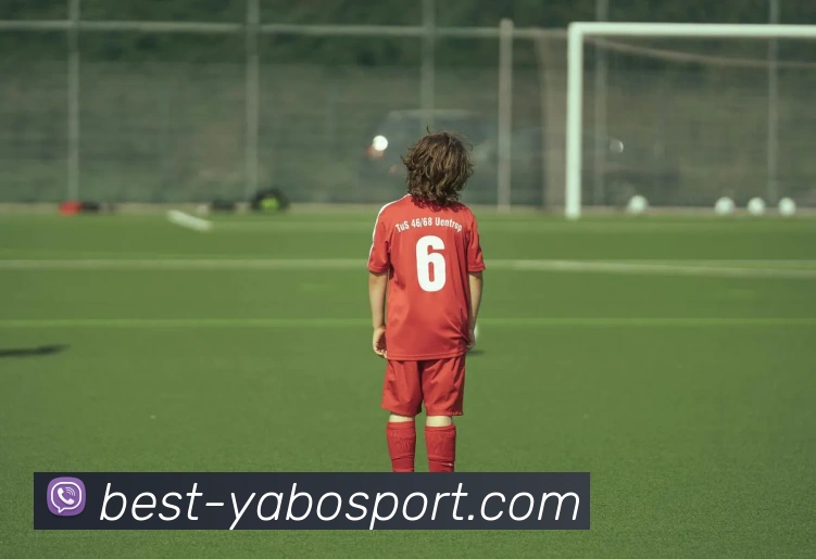 亚博体育平台生态图